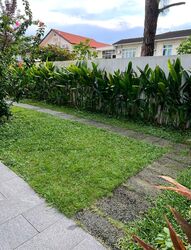 Haigsville Drive (D15), Semi-Detached #604325261